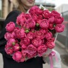 15 кустовых пионовидных роз Вишневая Джульетта