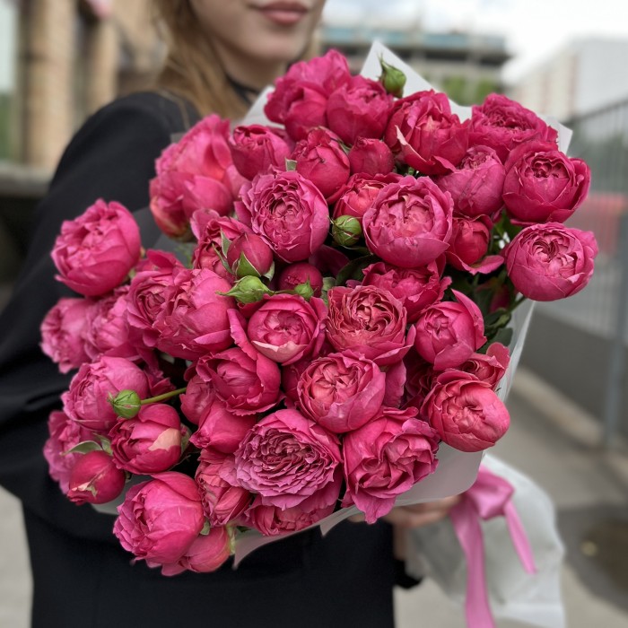 15 кустовых пионовидных роз Вишневая Джульетта