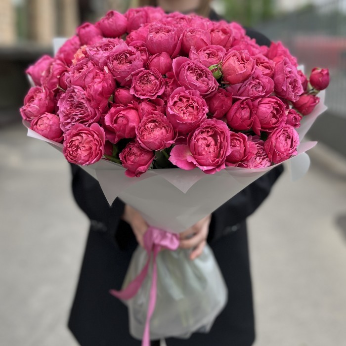 35 кустовых пионовидных роз Вишневая Джульетта