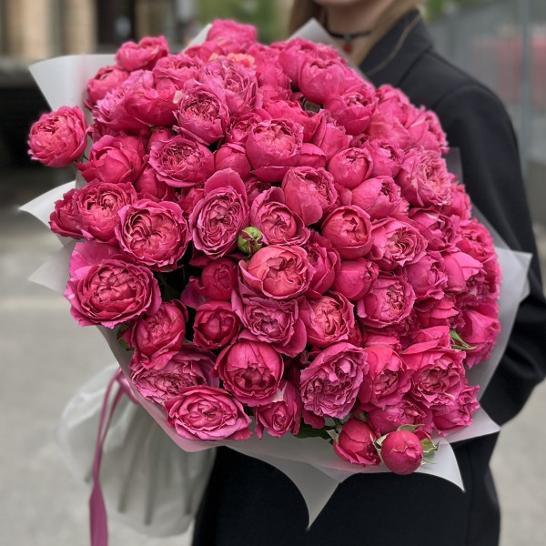 35 кустовых пионовидных роз Вишневая Джульетта