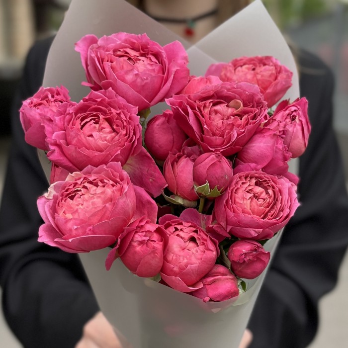 5 кустовых пионовидных роз Вишневая Джульетта