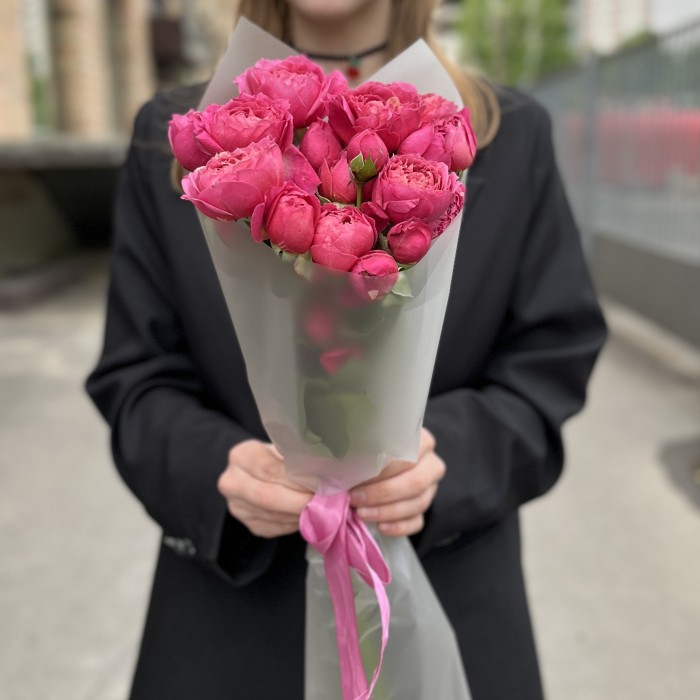 5 кустовых пионовидных роз Вишневая Джульетта