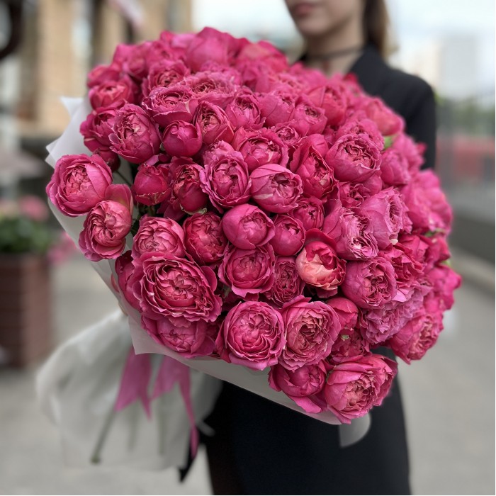 51 кустовая пионовидная роза Вишневая Джульетта