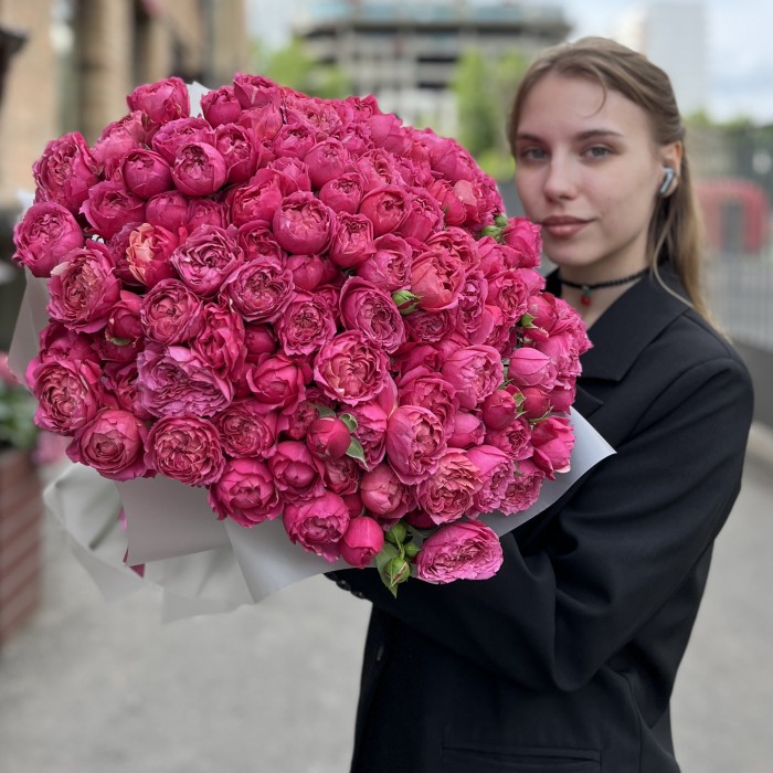 51 кустовая пионовидная роза Вишневая Джульетта