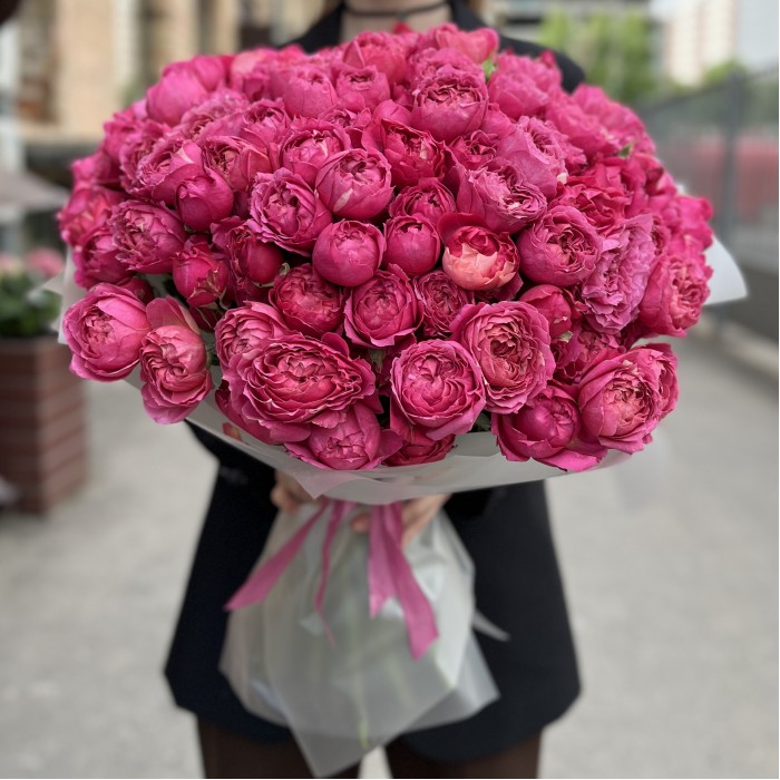 51 кустовая пионовидная роза Вишневая Джульетта