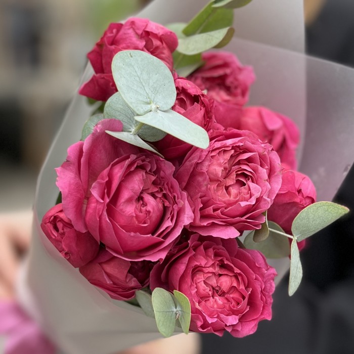 Комплимент из кустовых роз Вишневая Джульетта