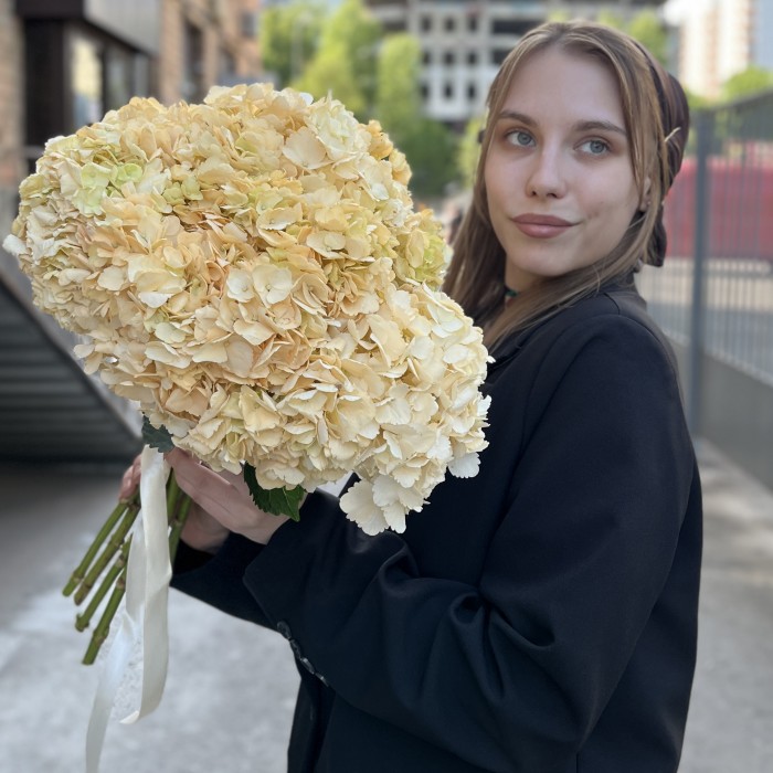 Гортензия Пич