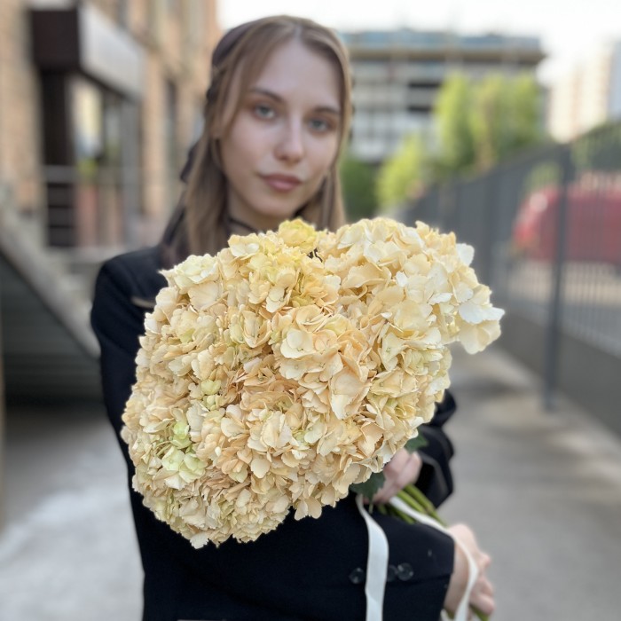 Гортензия Пич