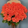 51 оранжевая роза Вау 80 см
