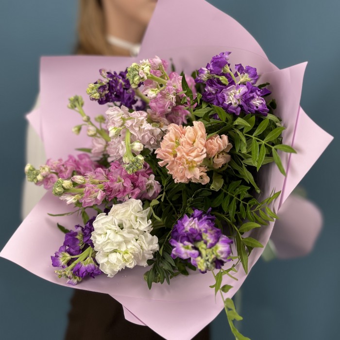 11 маттиол нежный MIX