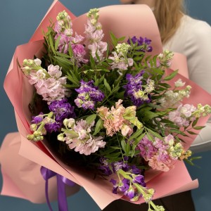 15 маттиол нежный MIX