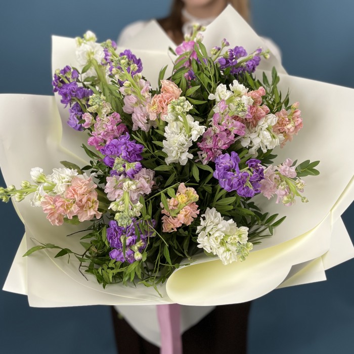 25 маттиол нежный MIX