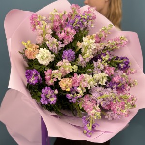 51 маттиола нежный MIX