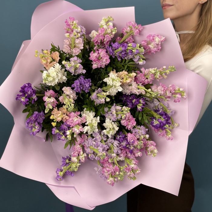 51 маттиола нежный MIX