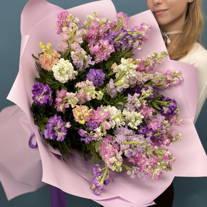 51 маттиола нежный MIX