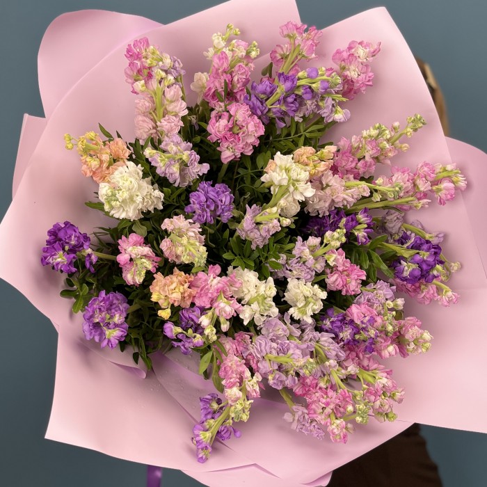 51 маттиола нежный MIX