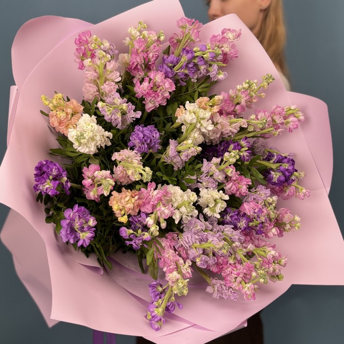 51 маттиола нежный MIX