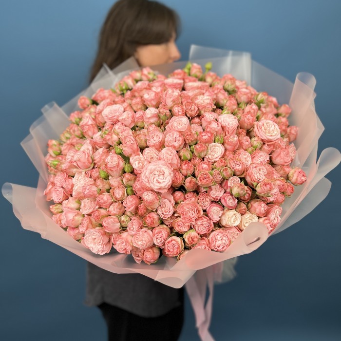 101 кустовая пионовидная роза Мадам Бомбастик