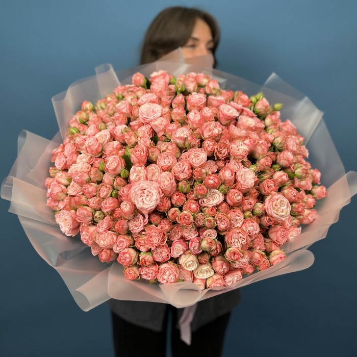 101 кустовая пионовидная роза Мадам Бомбастик