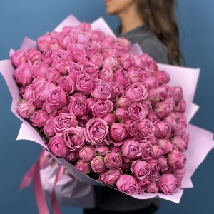 51 кустовая пионовидная Роза Мисти Баблс 40 см