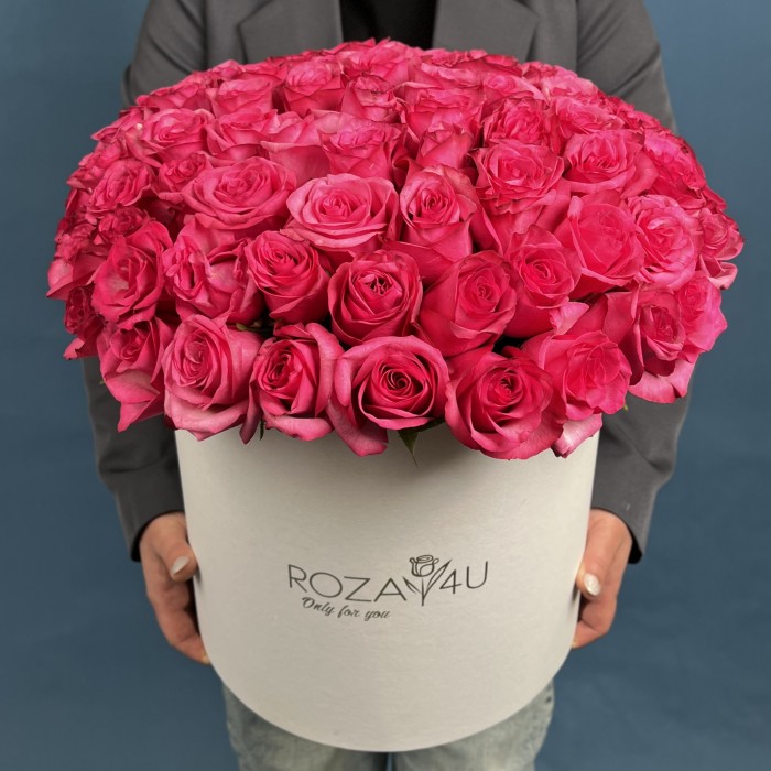 101 малиновая роза Палома Роял в коробке
