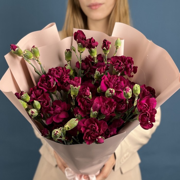 Букет из 15 фиолетовых кустовых гвоздик