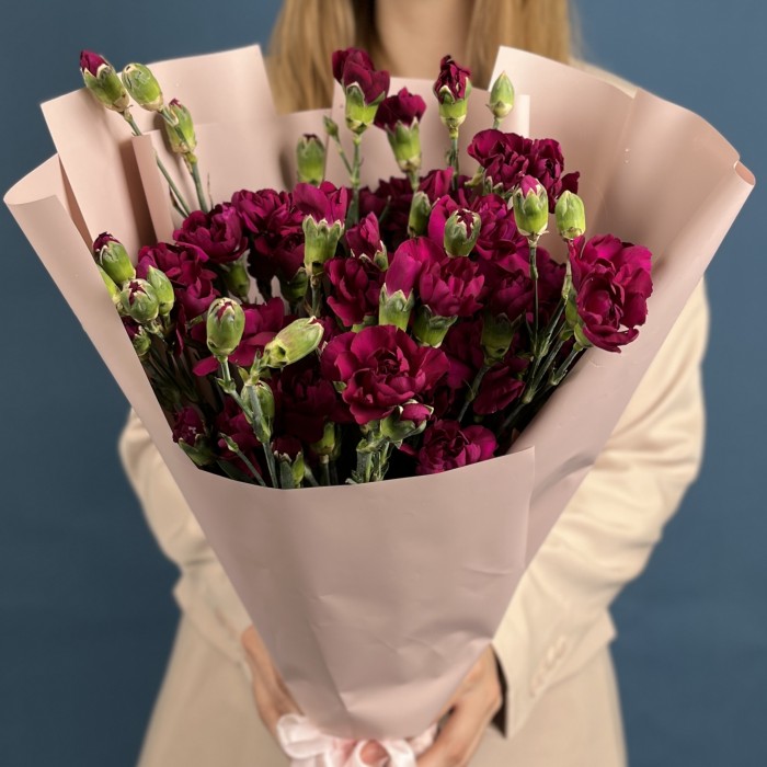 Букет из 15 фиолетовых кустовых гвоздик