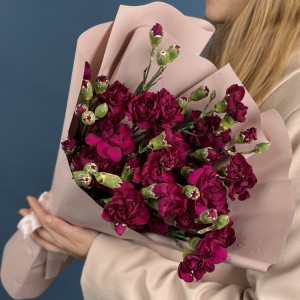 Букет из 15 фиолетовых кустовых гвоздик