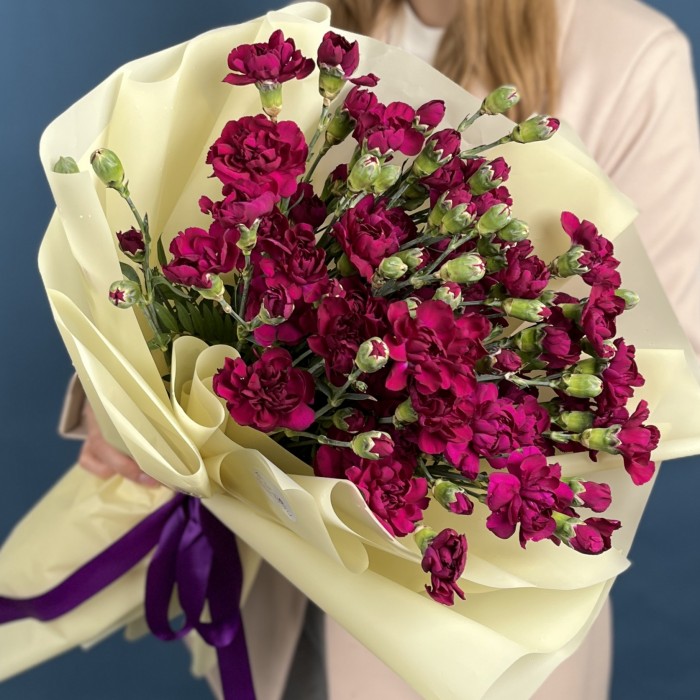 Букет из 25 фиолетовых кустовых гвоздик