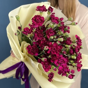 Букет из 25 фиолетовых кустовых гвоздик