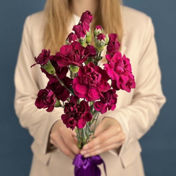 Букет из 5 фиолетовых кустовых гвоздик
