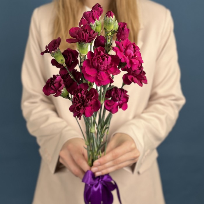 Букет из 5 фиолетовых кустовых гвоздик