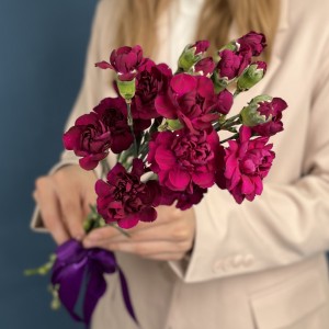Букет из 5 фиолетовых кустовых гвоздик