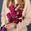 Букет из 5 фиолетовых кустовых гвоздик