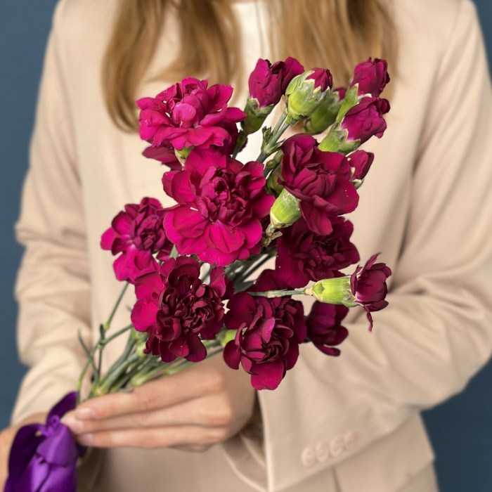 Букет из 5 фиолетовых кустовых гвоздик