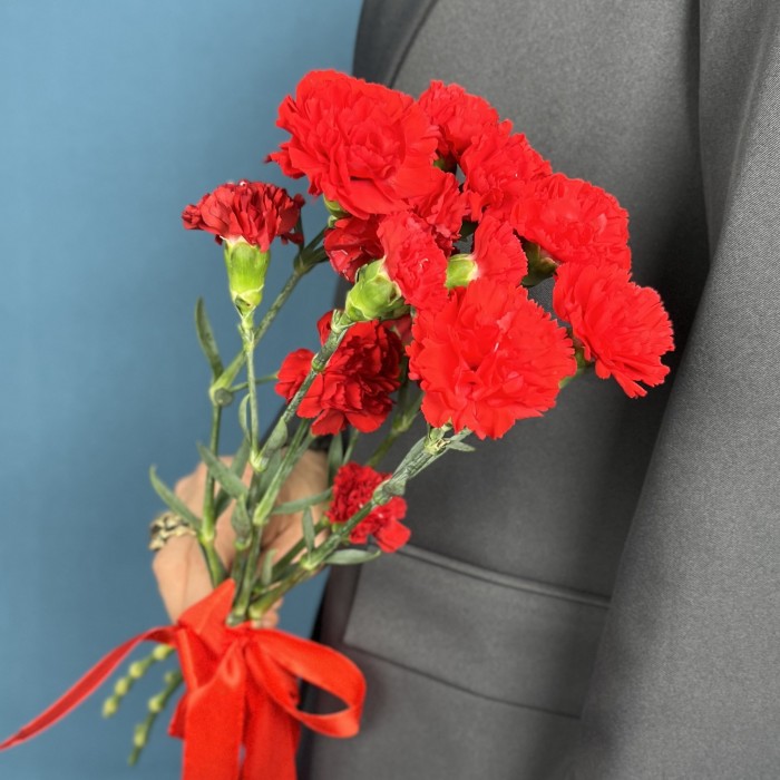 Букет из 5 красных кустовых гвоздик