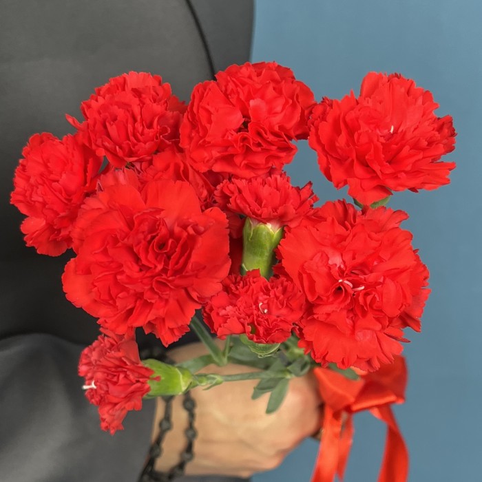 Букет из 5 красных кустовых гвоздик