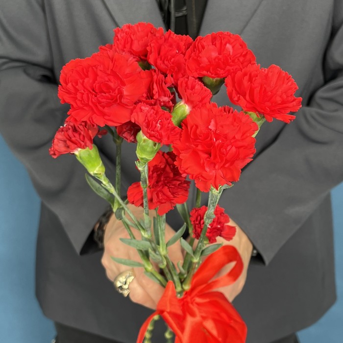 Букет из 5 красных кустовых гвоздик