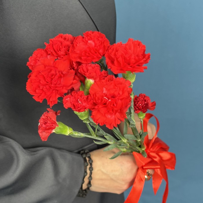 Букет из 5 красных кустовых гвоздик