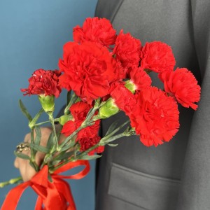 Букет из 5 красных кустовых гвоздик