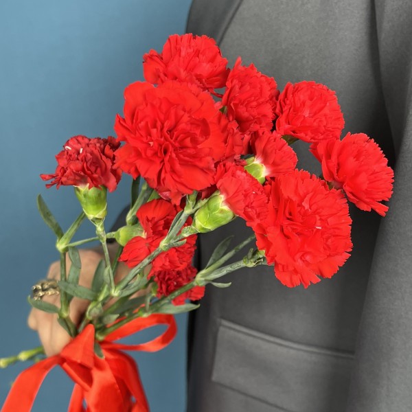Букет из 5 красных кустовых гвоздик