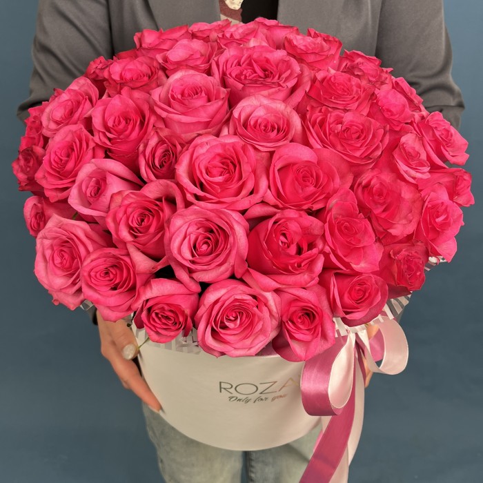 51 малиновая роза Палома Роял в коробке