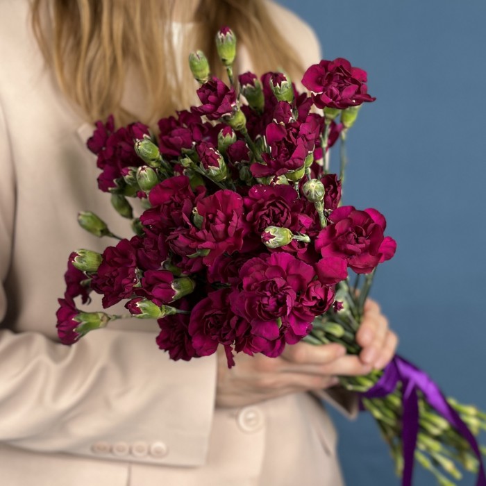 Гвоздика кустовая фиолетовая