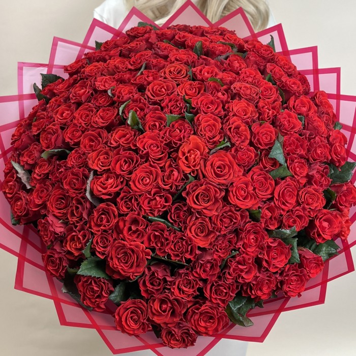 151 красная роза Эль Торо 50 см