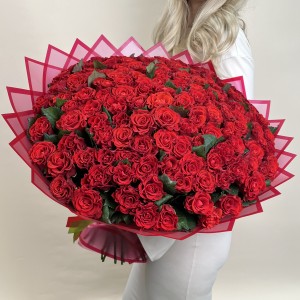 151 красная роза Эль Торо 50 см