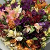 21 яркая альстромерия MIX