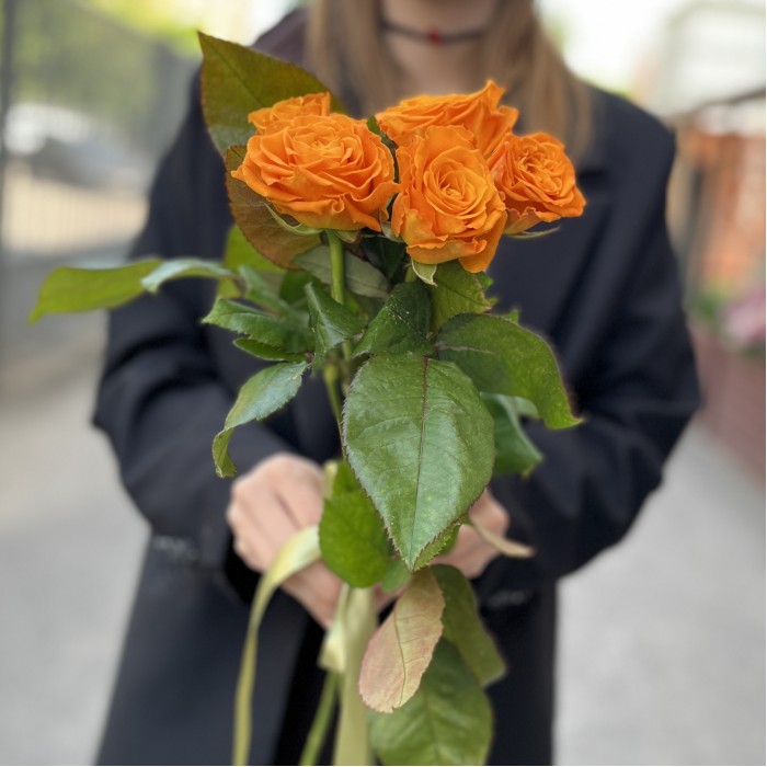 5 оранжевых роз Элеганс 60 см