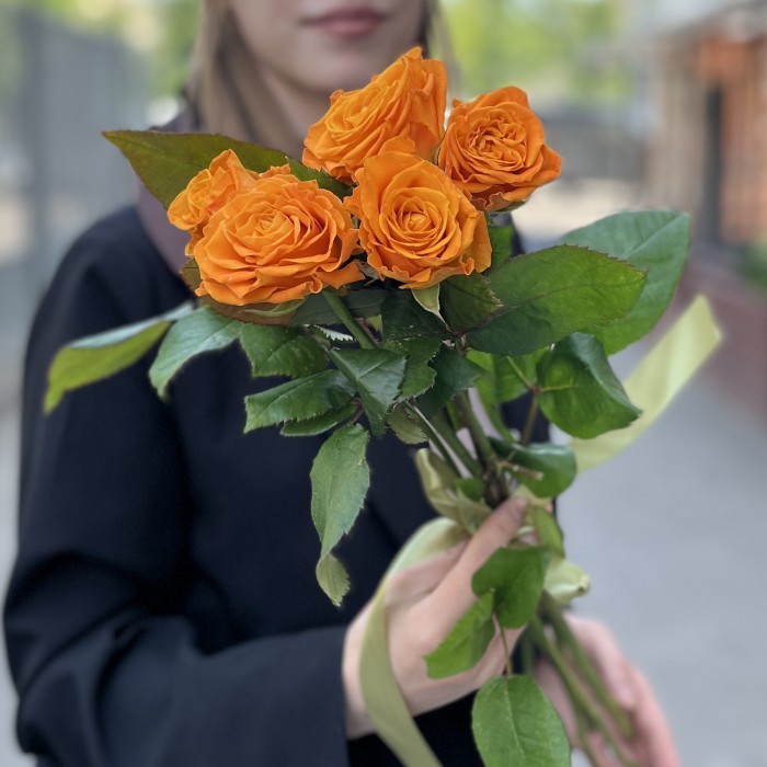 5 оранжевых роз Элеганс 60 см