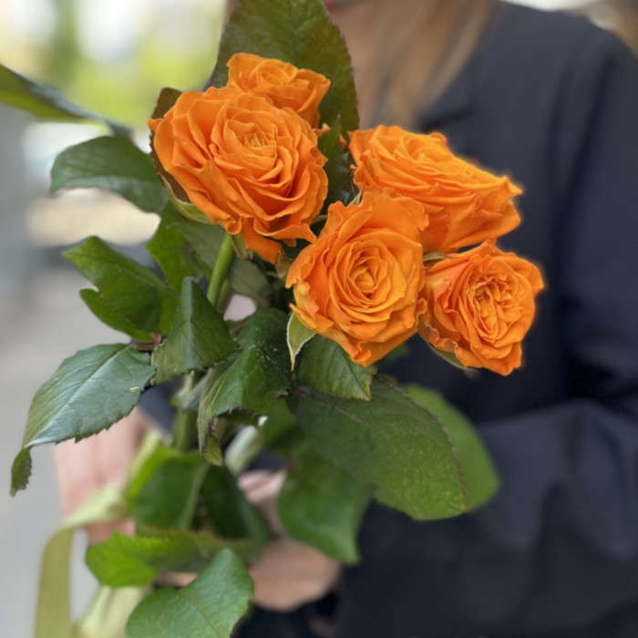5 оранжевых роз Элеганс 60 см