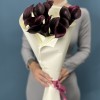 15 фиолетовых калл